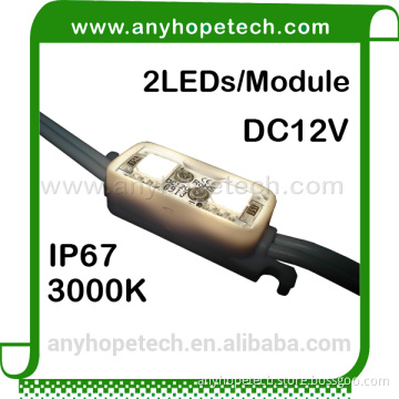 2015 hot sale 3000K warm white 2LEDs led cob module